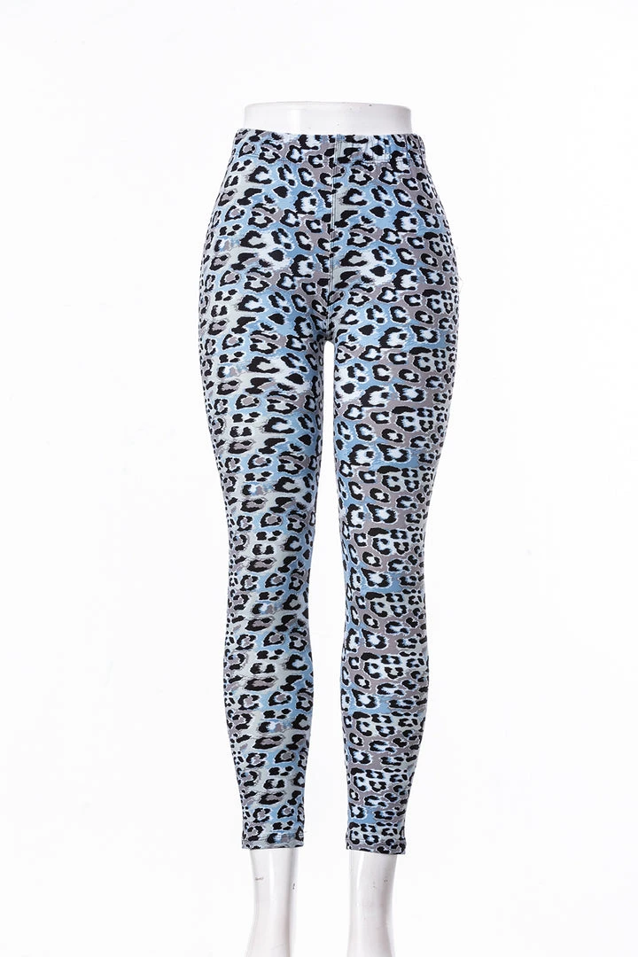 Just Cozy Blue Animal Print - All Season 3 Just Cozy Blue Animal Print - All Season