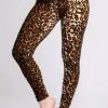 Just Cozy Leopard - All Season